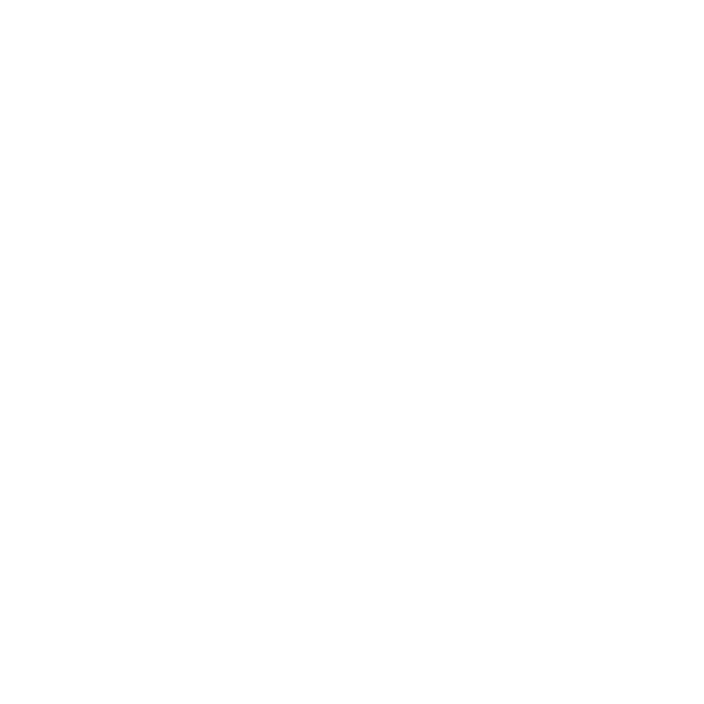 Burnex